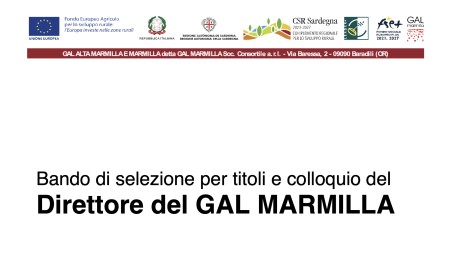 Bando di selezione per titoli e colloquio del Direttore del Gal Marmilla