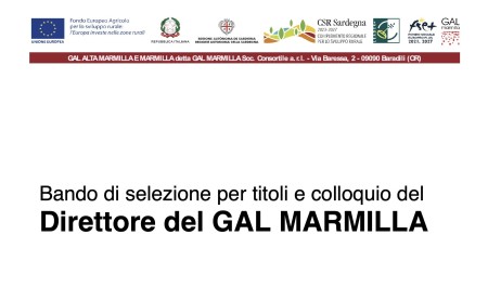 Bando per il Direttore del Gal Marmilla - nomina commissione