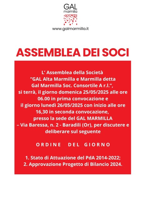 Assemblea dei Soci