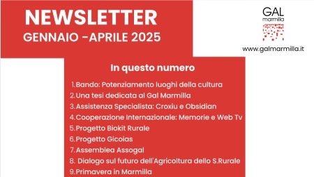 Newsletter n.1 del 2025